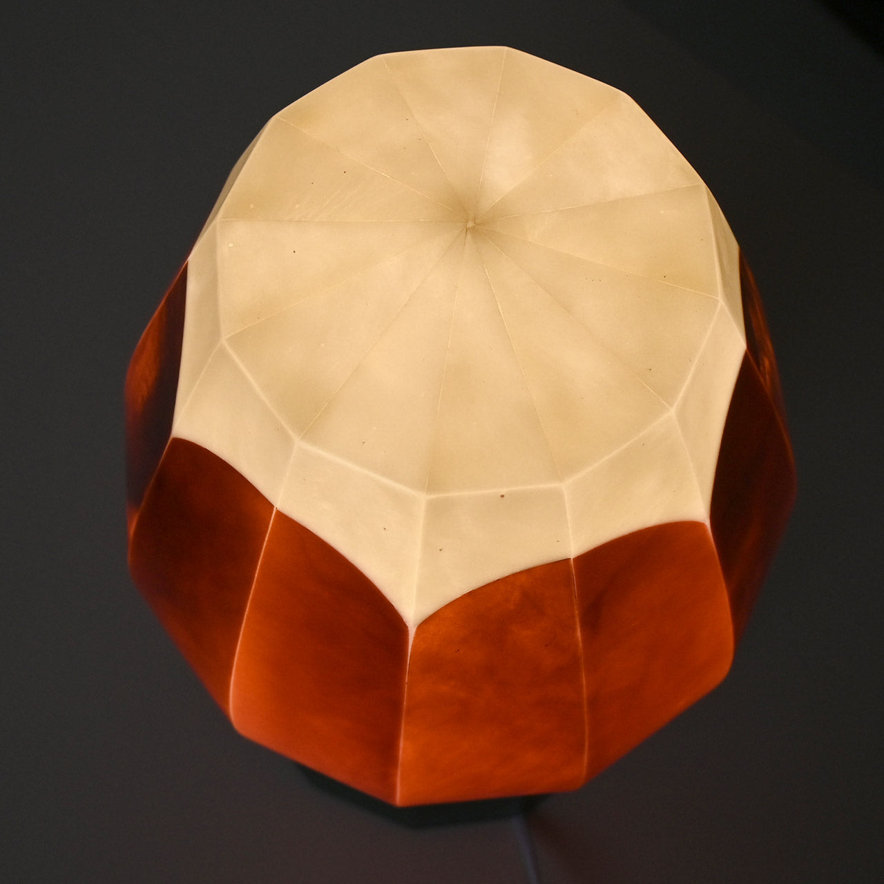 [General diffusion type] Table lamp, red bud