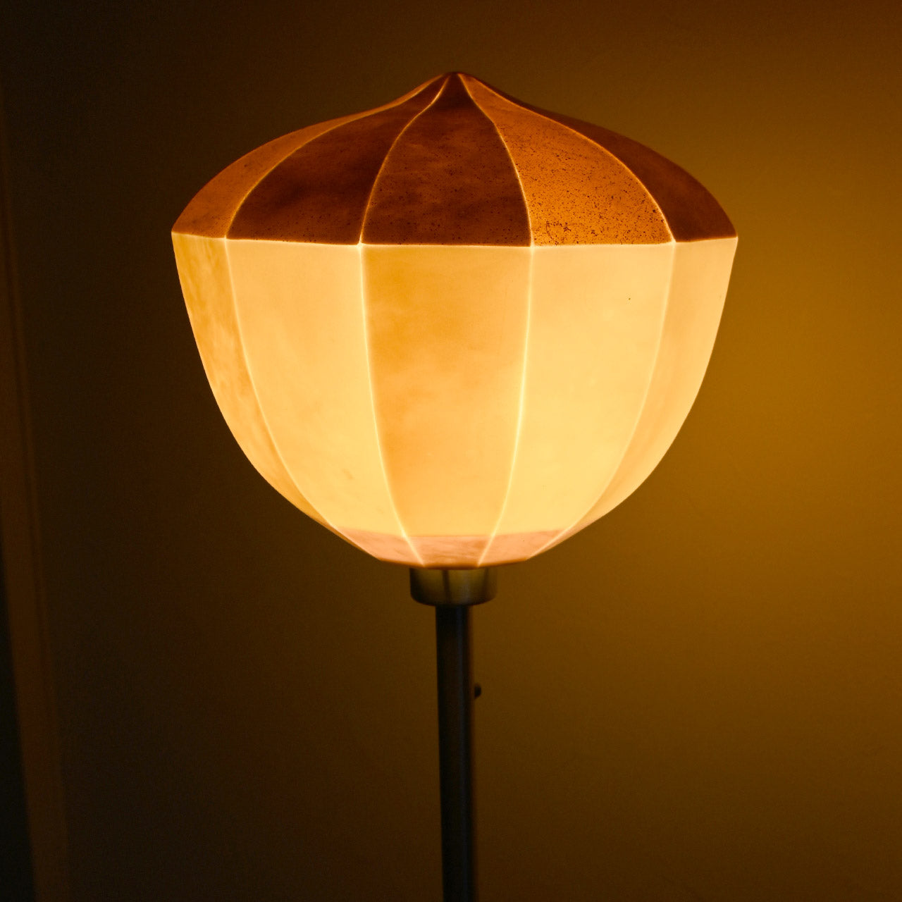 [Only one available] "Vegetable Series" Acorn 01 DONGURI-01 Lampshade