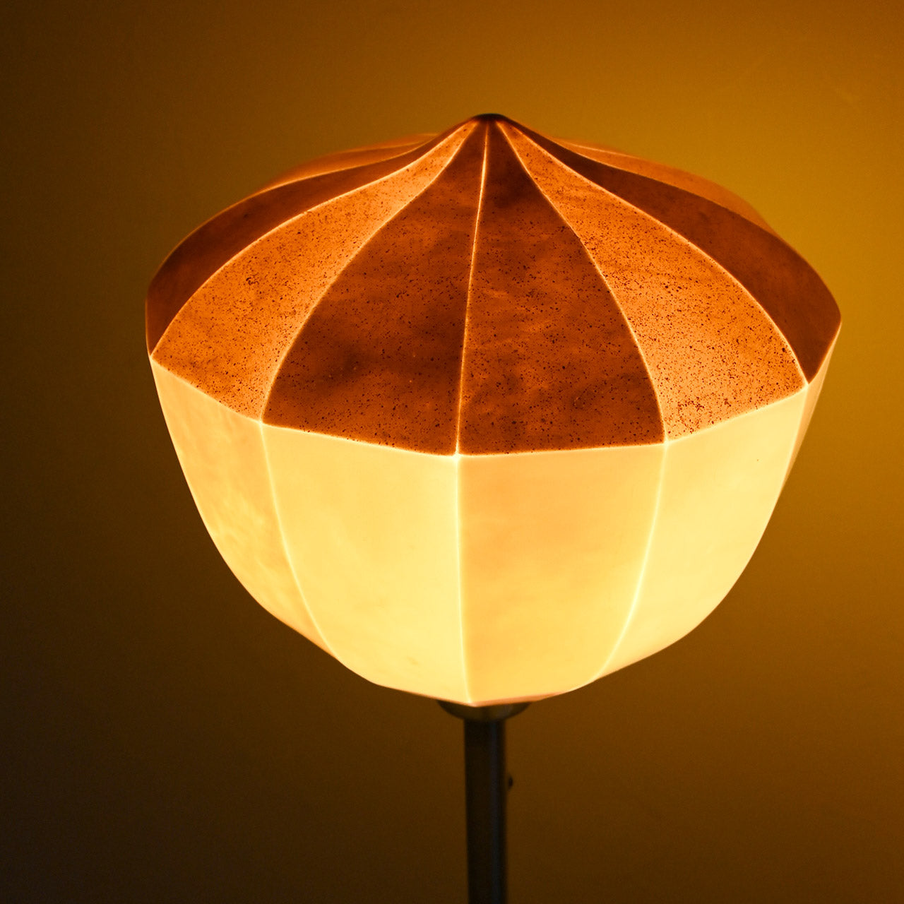 [Only one available] "Vegetable Series" Acorn 01 DONGURI-01 Lampshade