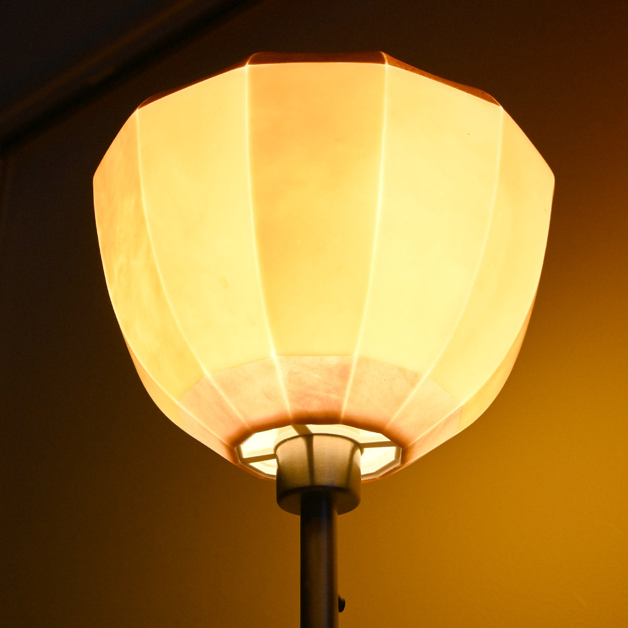 [Only one available] "Vegetable Series" Acorn 01 DONGURI-01 Lampshade
