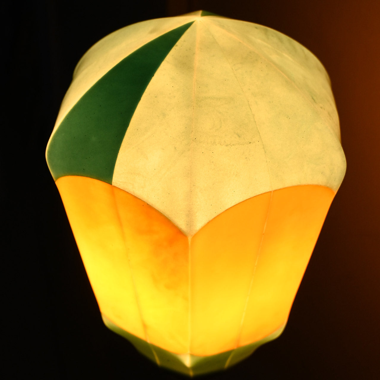 [Only one available] "Vegetable Series" Cucumber 01 KYURI-01 Lampshade